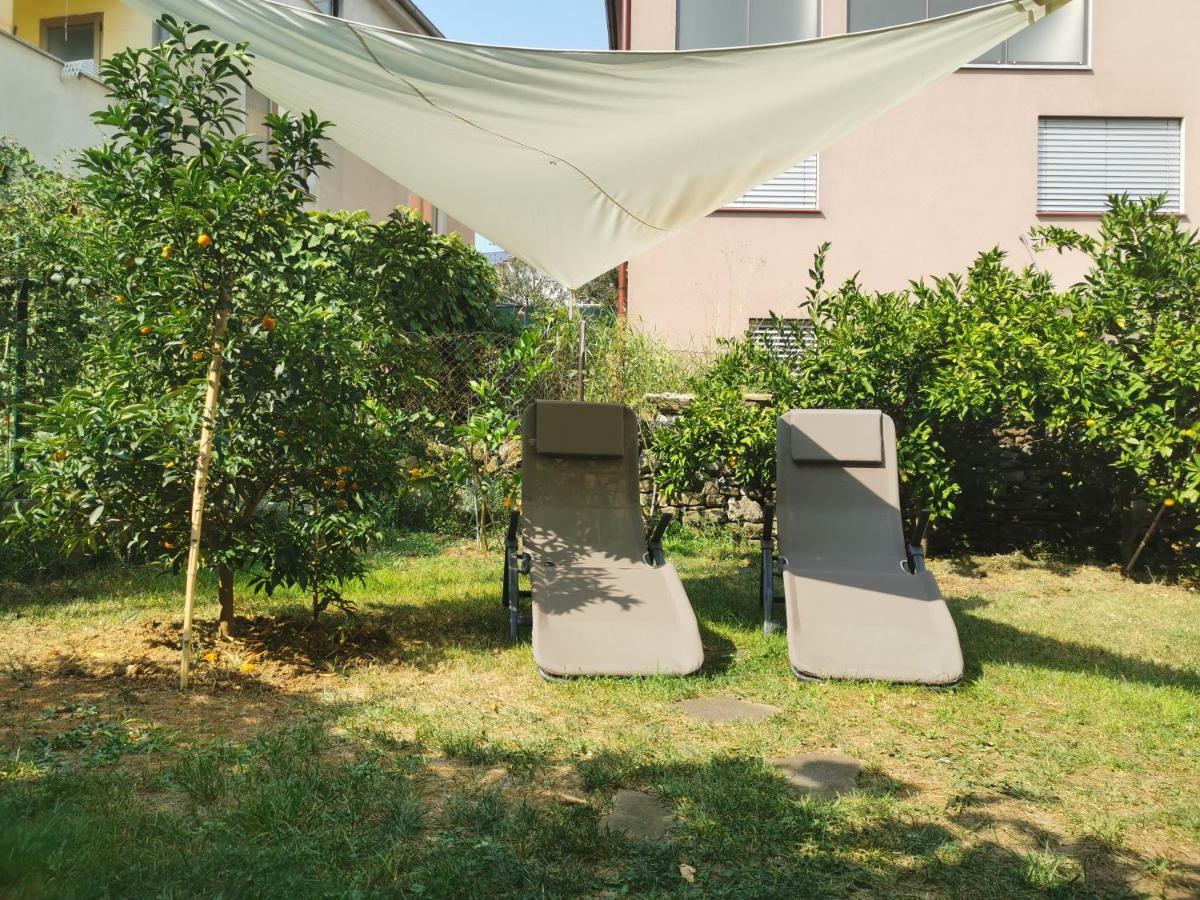Medizen Apartment 伊佐拉 外观 照片